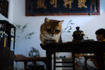 1506