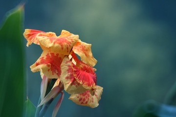 93303