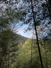 897561AA-A92E-4CA1-BB6D-2B3609C7C0AC/L0/001