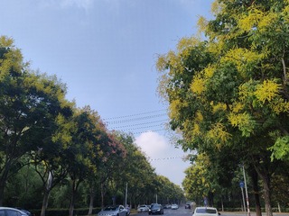 1000048116