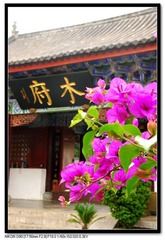 我在丽江