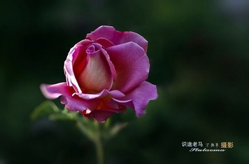 调整00000040_001