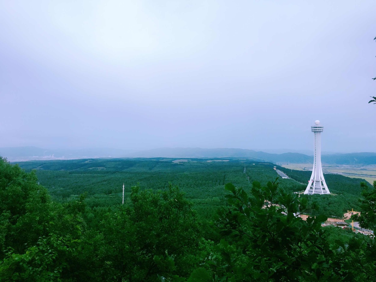 001 - 薄荷迷五月天