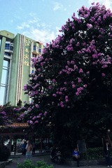 IMG_0210-2