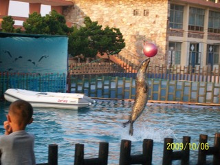 100_6257