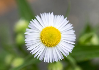 1053502