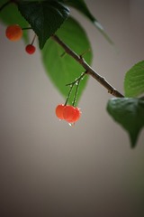 1146860