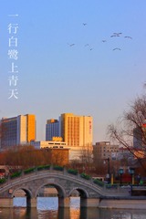 1065429