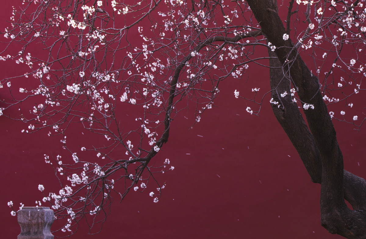 故宫-时代的记忆 - 北京, 故宫, 风光, “奇迹之镜”图虫风光摄影典藏双月赛第二季 - 背包摄影杨东 - 图虫摄影网