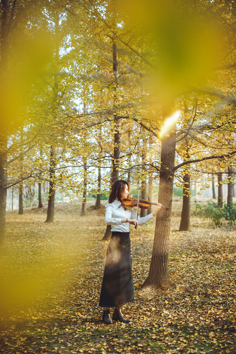 银杏林amp小提琴