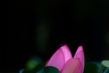 761213
