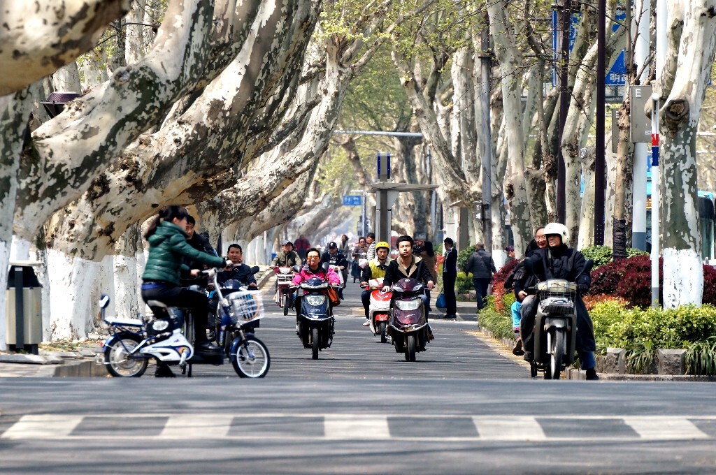 南京中山东路的街景，好熟悉好舒坦的感觉。。。