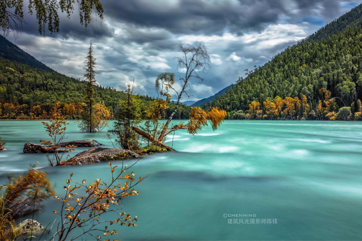 灾变后的千针石林