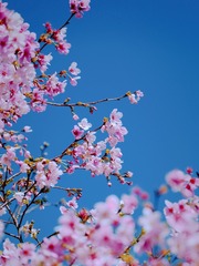 B53C7C95-96C1-4CC2-B394-9322F31D7A62/L0/001