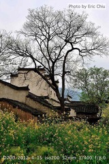 安徽省黄山市黟县宏村-4.jpg