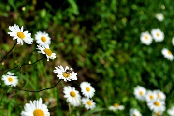_DSC2642.jpg