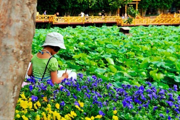 20120610昆明翠湖 11.jpg