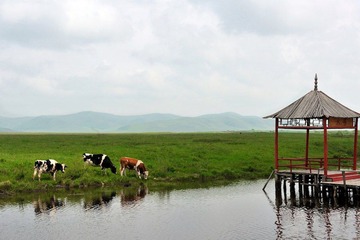 20120625坝上 2.jpg