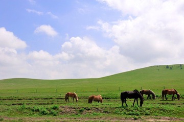 20120625坝上 4.jpg