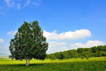 20120625坝上 11.jpg