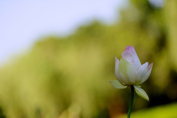 20120721 借花献佛s 3.jpg