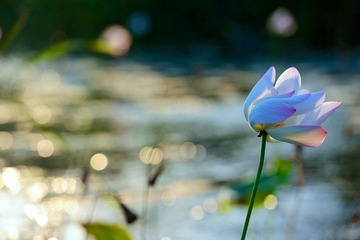20120721 借花献佛s 5.jpg