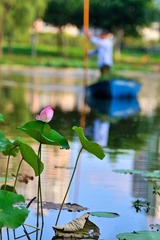 20120726 借花献佛s 11.jpg