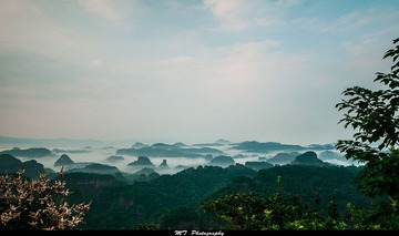 DSC_1302.JPG