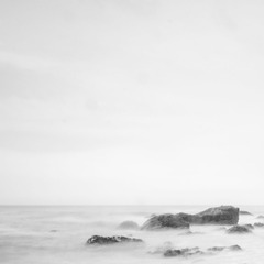 DSC_0215-3.JPG