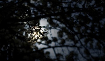 light