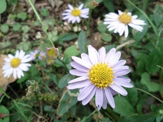 IMG_20111023_141441.jpg