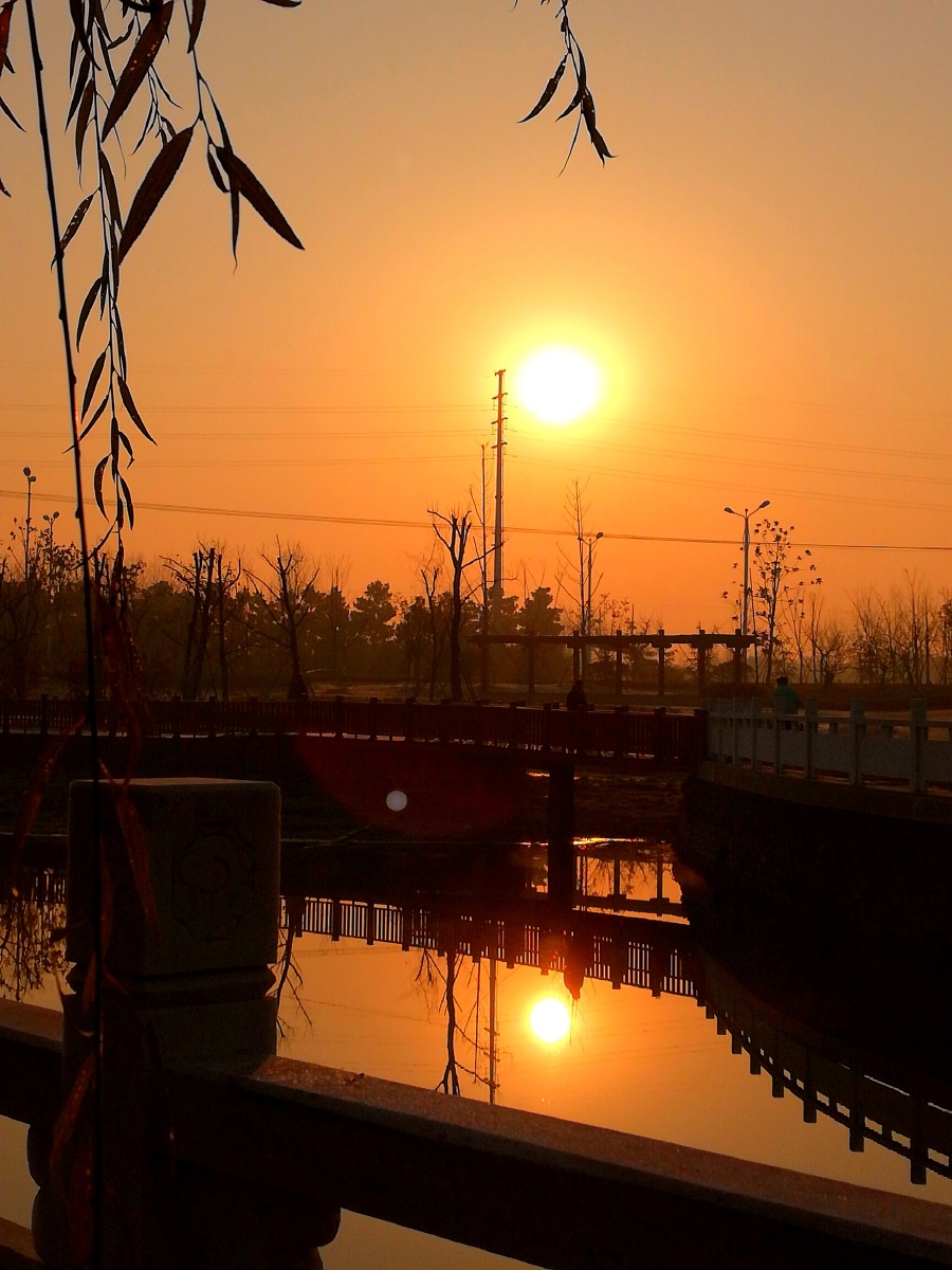 在这初冬时节,久阴初晴的早晨,初升的太阳真是暖心啊!