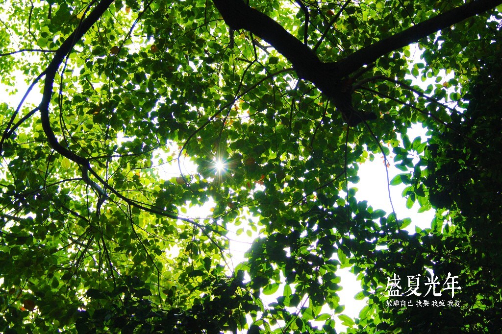 图:盛夏光年<br />
<br />
2014.4 清明<br />
<br />
和乐宝去山西平遥。<br />
<br />
陈奕迅唱过:接近换来期望,期望带来失望的恶性循环。<br />
<br />
从一月到三月,日子忙忙碌碌。<br />
<br />
四月的时候,突然有一道光。<br />
<br />
我的,和他的。<br />
<br />