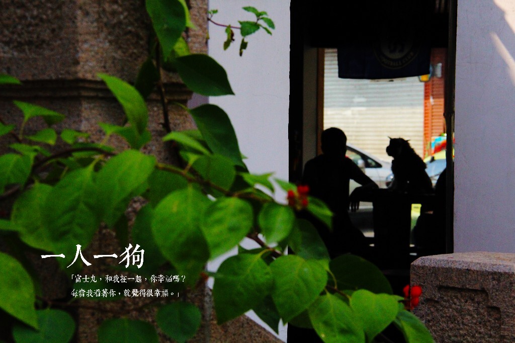 图:一人一狗<br />
<br />
2014.5 贝恩杯<br />
<br />
和乐宝经历过好几次激烈的争吵:我要去玩,他要参加贝恩杯。<br />
<br />
后来,我们去参加贝恩杯了。<br />
<br />
有时候,我会怀念那段心无旁骛的时光。<br />
<br />
「富士丸,和我在一起,你幸福吗?<br />
<br />
每当我看着你,就觉得很幸福。」<br />
<br />
我想养只猫,但狗忠诚。<br />
<br />