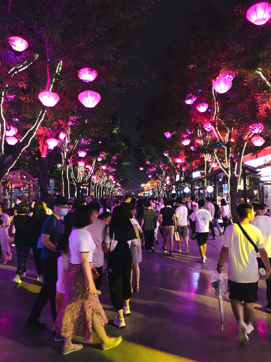 熙熙攘攘的人群只有我孤身一人