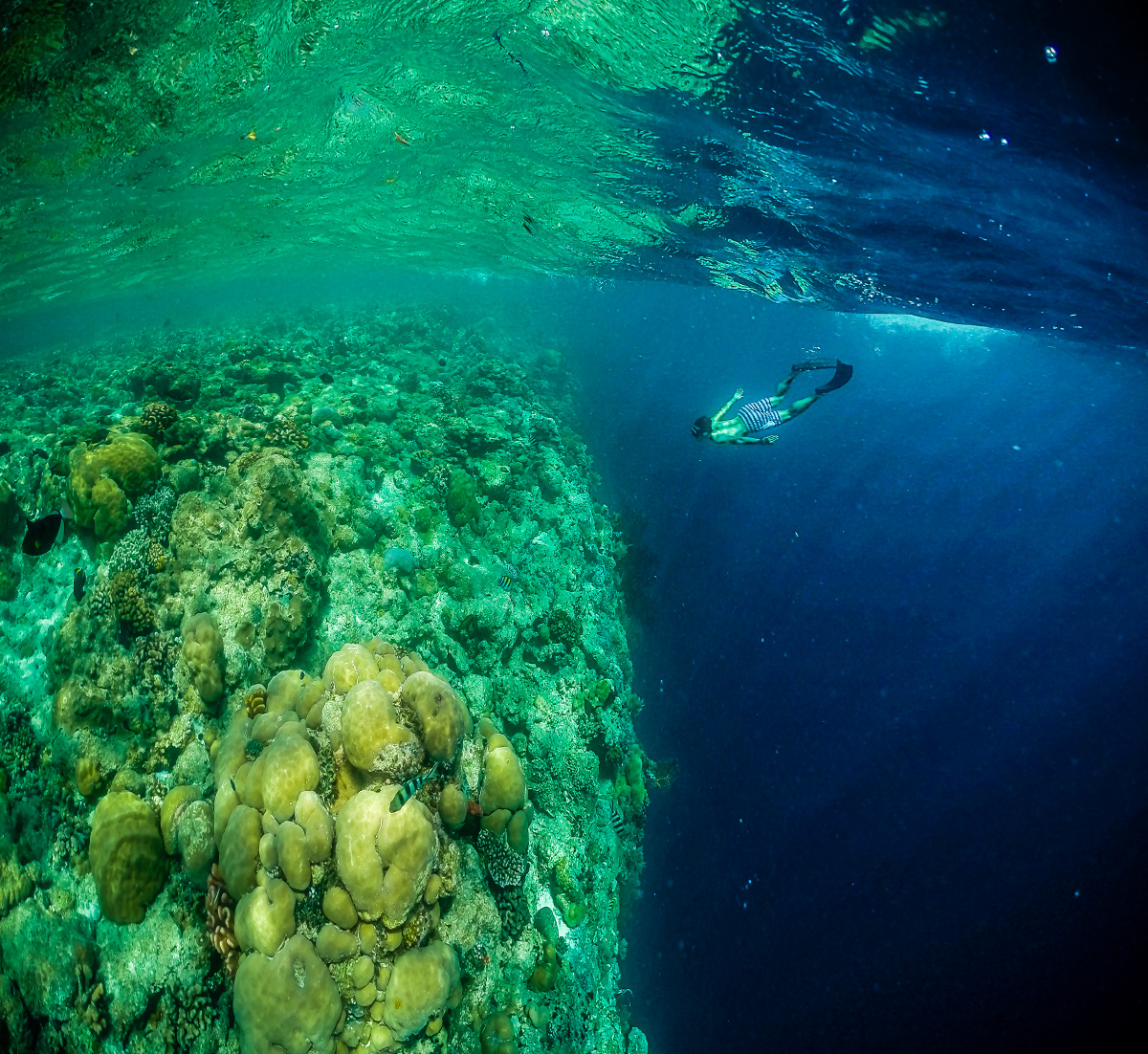 带你潜入太平洋