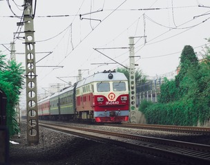 77142