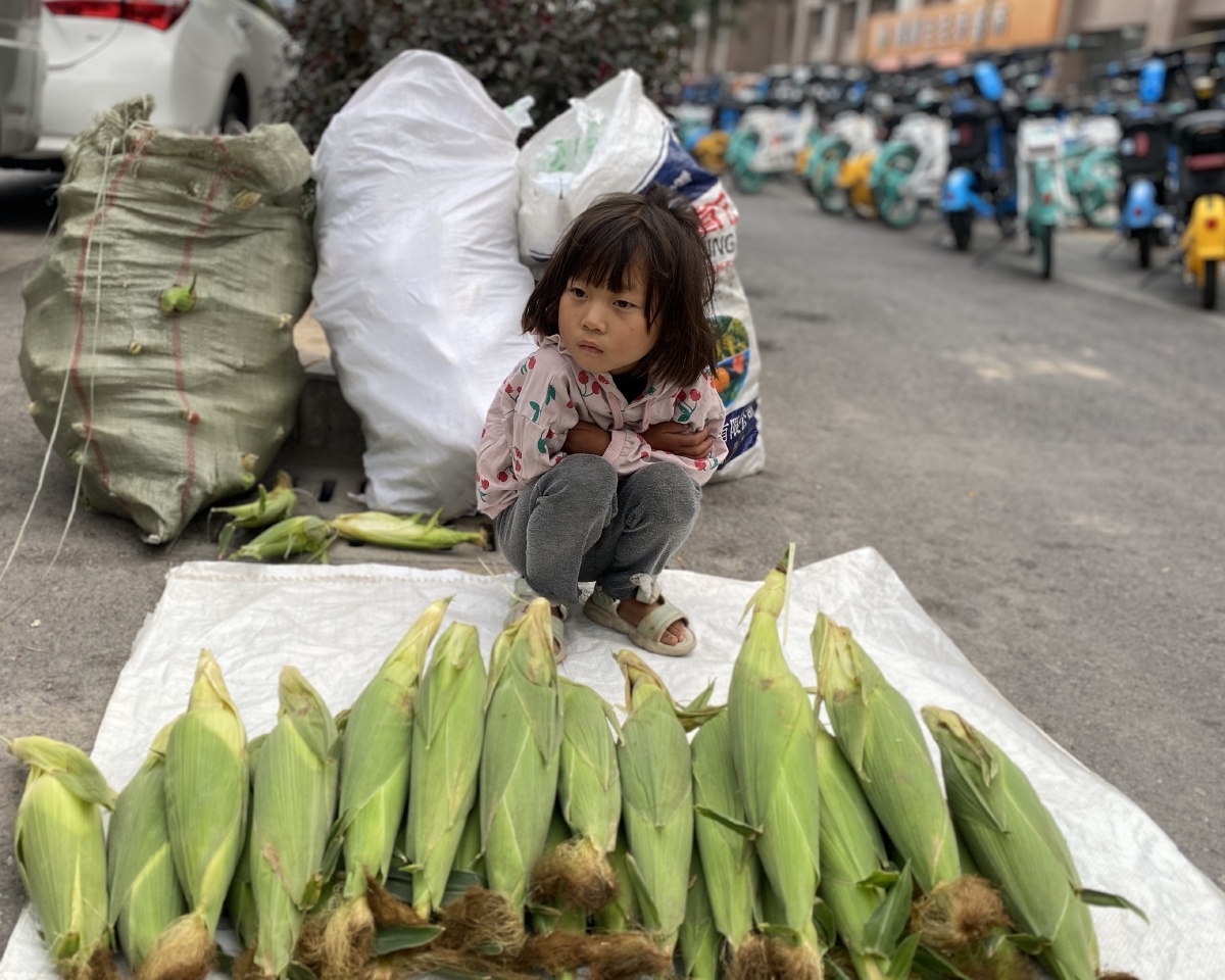 清晨,卖玉米的小姑娘.