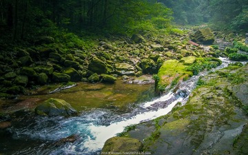 水声