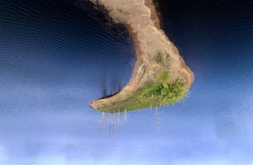 1000051573
