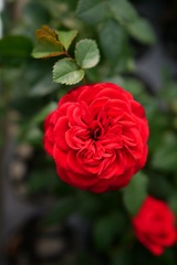 D5D73C77-0AB1-4173-993C-9151A0621CAF/L0/001