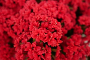 9078BF89-56C8-4F58-89E7-2A2E1A2B82EA/L0/001