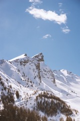 DZX_7916