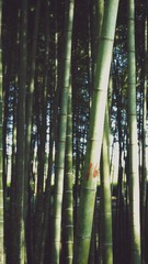 EF2E81EB-C45E-4A35-A7C3-6199367F4273/L0/001
