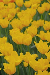 3ED9B527-58DC-47A6-8B6F-FFF95279FFB8/L0/001