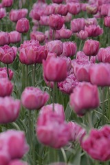 6D775E27-57A7-4BD5-952B-52E699D2C511/L0/001