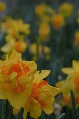 D9045307-B836-4FC4-825B-7D2322A22E2C/L0/001