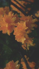96C3EF33-ABF1-49BD-A488-9B9E17713837/L0/001
