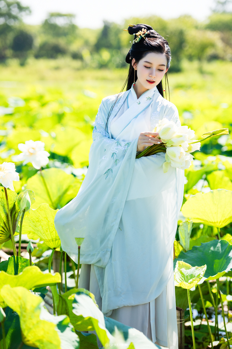 荷花汉服小仙女