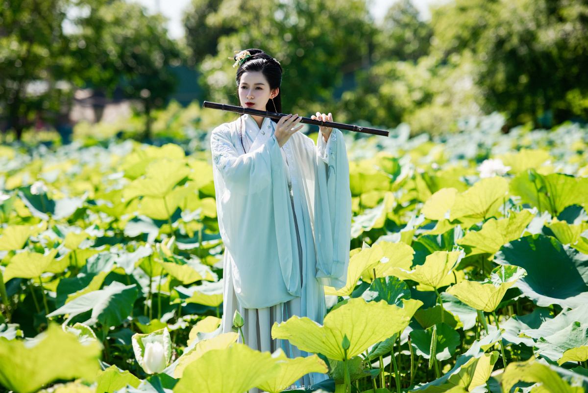 荷花汉服小仙女